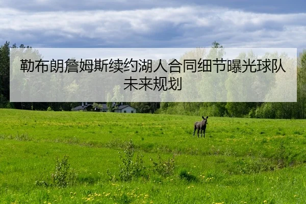 lei-bu-lang-zhan-mu-si-xu-yue-hu-ren-he-tong-xi-jie-bao-guang-qiu-dui-wei-lai-gui-hua-2-961.jpg