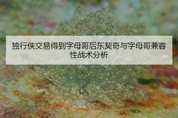 独行侠交易得到字母哥后东契奇与字母哥兼容性战术分析