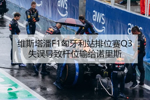 维斯塔潘F1匈牙利站排位赛Q3失误导致杆位输给诺里斯